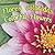 Flores coloridas / Colorful Flowers (Spanish and English Edition)