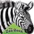 The Zoo Book by Jan Pfloog