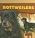 Rottweilers