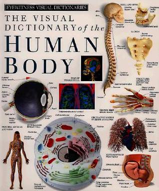 Eyewitness Visual Dictionaries: The Visual Dictionary of the Human Body (Hardcover)