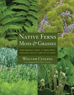 Native Ferns, Moss, and Grasses: From Emerald Carpet to Amber Wave, Serene and Sensuous Plants for the Garden (Hardcover)
