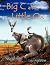 Big C and Little Ox by Nancy Kelly Allen