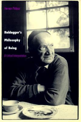 Heidegger's Philosophy of Being (Paperback)