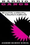 Barrio Gangs: Str...