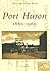 Port Huron: 1880-1960 (MI) (Postcard History Series)