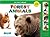 Forest Animals