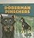 Doberman Pinschers