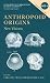 Anthropoid Origins: New Vis...