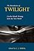 The Boundaries of Twilight by C.J. Hribal