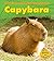 Capybara (A Day in the Life: Rain Forest Animals)