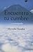 Encuentra tu cumbre: ...y consíguela (Plataforma testimonio) (Spanish Edition)