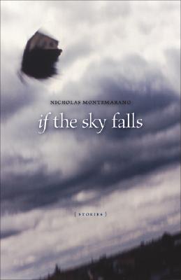 If the Sky Falls (Paperback)
