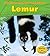 Lemur (Heinemann Read and Learn: A Day in the Life: Rain Forest Animals)