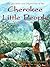 Secrets and Mysteries of the Cherokee Little People
