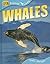 Whales by Sally   Morgan