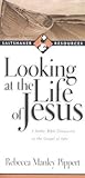 Looking at the Life of Jesus: 7 Seeker Bible Discussions on the Gospel of John Looking at the Life of Jesus: 7 Seeker Bible Discussions on the Gospel of John