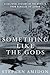 Something Like the Gods: A Cultural History of the Athlete from Achilles to LeBron