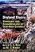 Dryland Rivers by Louise Bull