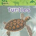 Turtles