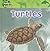 Turtles