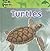 Turtles (Amazing Animals)