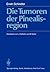Die Tumoren der Pinealisregion (German Edition)