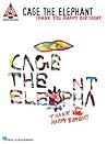 Cage the Elephant - Thank You, Happy Birthday (Guitar Recorded Versions)