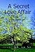 A Secret Love Affair by Monica Singh
