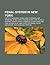 Penal System in New York: Capital Punishment in New York, Prisoners and Detainees of New York, Prisons in New York, Plaxico Burress