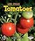 Tomatoes (First Step Nonfiction: Plant Life Cycles)