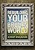 Rebuilding Your Broken World Study Guide