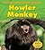 Howler Monkey (Heinemann Read and Learn: A Day in the Life: Rain Forest Animals)