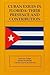 Cuban Exiles in Florida: Their Presence and Contribution