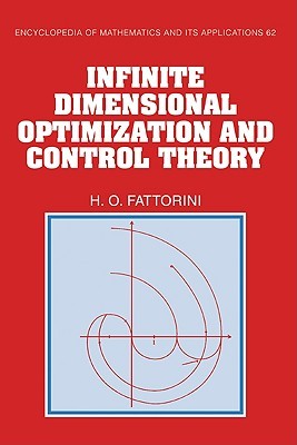 Infinite Dimensional Optimization and Control Theory (Encyclopedia of Mathematics and its Applications, Series Number 62)