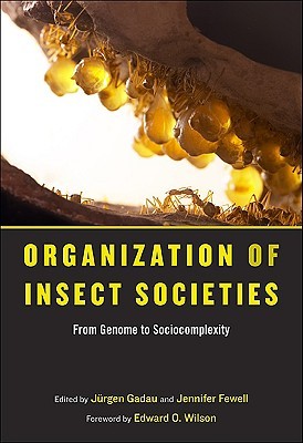 Organization of Insect Societies: From Genome to Sociocomplexity (Hardcover)