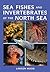 Sea Fishes and Invertebrates of the North Sea