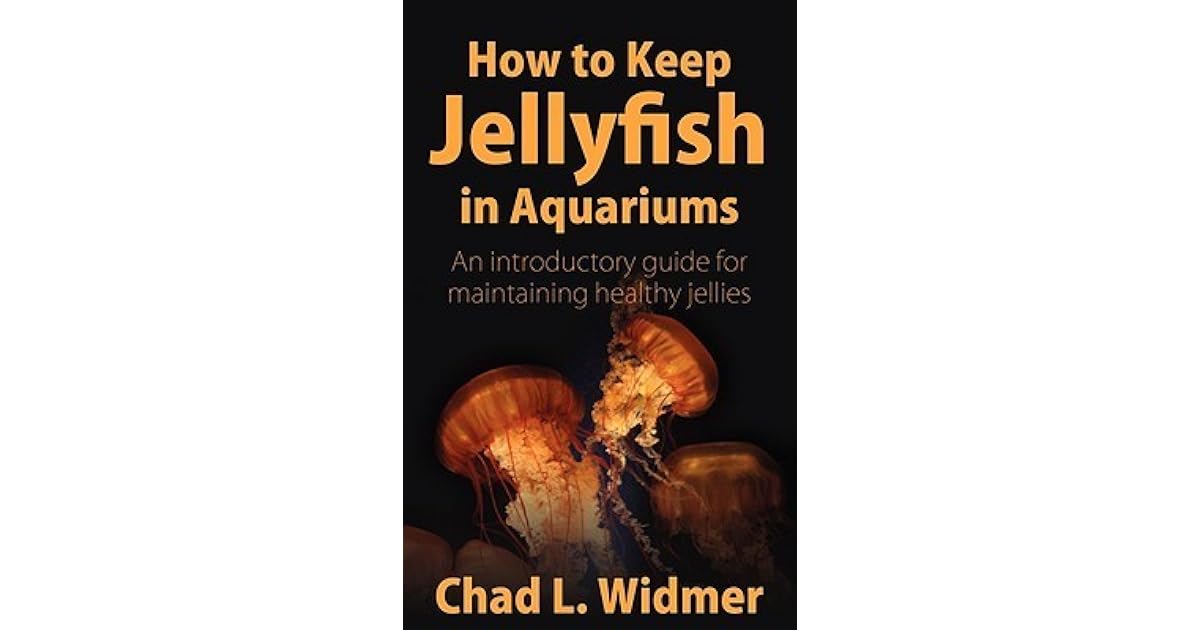 How to Keep Jellyfish in Aquariums An Introductory Guide for