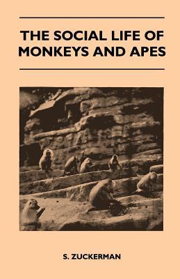 The Social Life of Monkeys and Apes (Paperback)