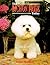The Bichon Frise Today