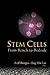 STEM CELLS: FROM BENCH TO BEDSIDE