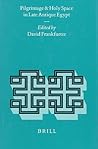 Pilgrimage and Holy Space in Late Antique Egypt (Religions in the Graeco-Roman World, 134)
