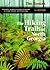 The Hiking Trails Of North Georgia by Tim Homan