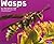 Wasps (Bugs, Bugs, Bugs!)