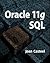 Oracle 11G: SQL