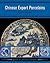 Chinese Export Porcelains by Andrew Madsen