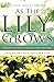 As the Lily Grows
