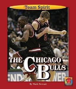 The Chicago Bulls