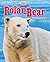 Polar Bear: Shrinking Ice - Non-Fiction Reading for Grade 4, Developmental Learning for Young Readers - Built for Cold: Arctic Animals