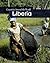 Liberia (Countries Around the World)