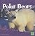 Polar Bears (First Facts)